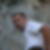 Photo de profil de Lamouroux Didier