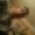 Photo de profil de Romain Barbe