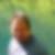 Photo de profil de Philippe Mathieu
