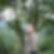 Photo de profil de Celine Leclerc
