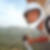 Photo de profil de Pascal Robert