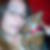 Photo de profil de Delphine Grard