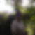 Photo de profil de Veronique Gottrant