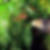 Photo de profil de Vienne Patricia