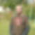 Photo de profil de Jerome Savary