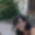 Photo de profil de Isabelle Lecerf-Dutilloy