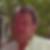 Photo de profil de Maurice Cocozza