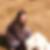 Photo de profil de Karine Wessing