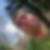 Photo de profil de Vincent Angillis
