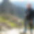 Photo de profil de Daniel Seguy