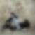 Photo de profil de Benoit Claudin