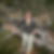 Photo de profil de Irene Plancon