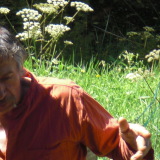 Photo de profil de Bernard Laurent