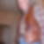 Photo de profil de Franck Bertrand