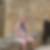 Photo de profil de Christophe Blanc