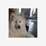 Photo de profil de Isabelle Theissier