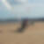 Photo de profil de Franck Pied