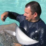 Photo de profil de Sébastien Favier