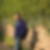 Photo de profil de Albert Grego