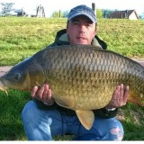 Photo de profil de Cedric Godefroy
