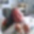 Photo de profil de Dany Chapelle