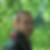 Photo de profil de Pascal Delion