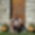 Photo de profil de Jacques Martin