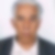 Photo de profil de Mansouria Tahar