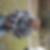 Photo de profil de Yohan Chauvin