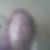 Photo de profil de Martine Gallar