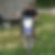 Photo de profil de Pascal Sandrin