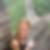 Photo de profil de Sabine Cothenet