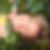 Photo de profil de Annick Falaise