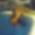 Photo de profil de Cyril David