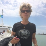 Photo de profil de Dominique Mescolotto