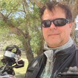 Photo de profil de Daniel Collin