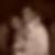 Photo de profil de Yann Legall