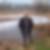 Photo de profil de Gilberte Guichard