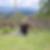 Photo de profil de Pascal Maze