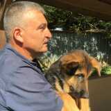 Photo de profil de Jacques Vaganay