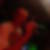 Photo de profil de Stephane Grare