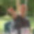 Photo de profil de Parent Olivier
