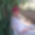 Photo de profil de Sid Ahmed Ould Mohamed