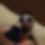 Photo de profil de Christophe Cazalot