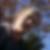 Photo de profil de Julien Graux