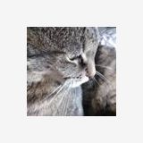 Photo de profil de Bruno Leplat