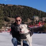 Photo de profil de Philippe Leonard