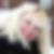 Photo de profil de Claudie Dufour