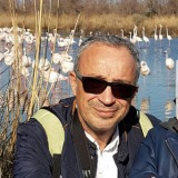 Photo de profil de Patrick Ibanez
