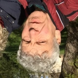 Photo de profil de Thierry Domon